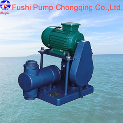 DZ Serie Marine Electric Piston Pump.jpg